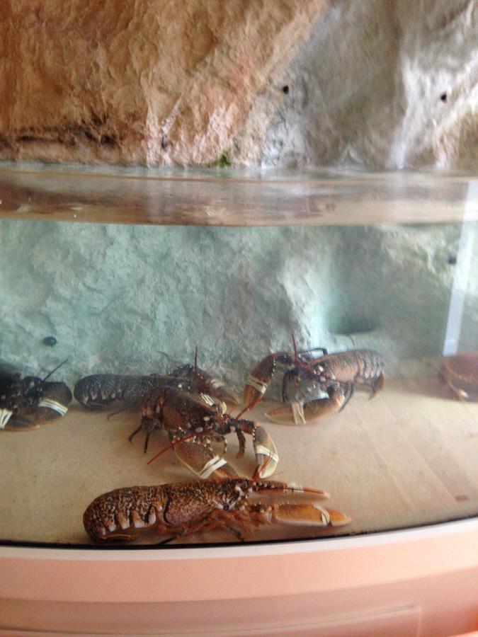 雅尔河畔圣万康 L'Ocean酒店 外观 照片